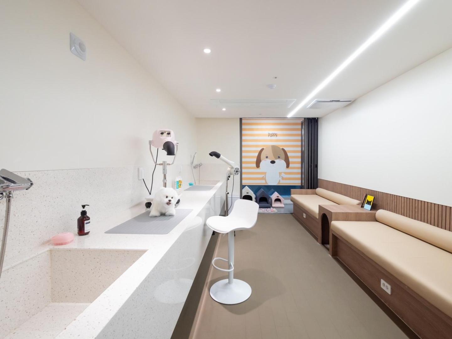Allzip Archieve4H Residence Hotel 釜山 外观 照片